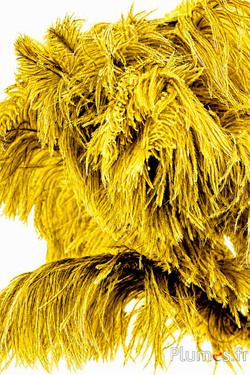 Strauss - 30-40 cm - naturgrau-gelb